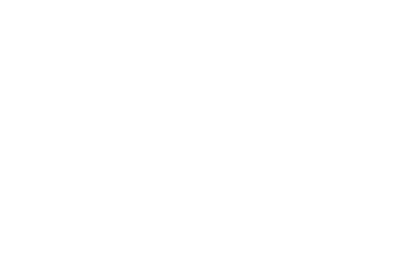 Swiss Sport Advisors